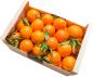 Mobile Preview: Orangen aus Sizilien